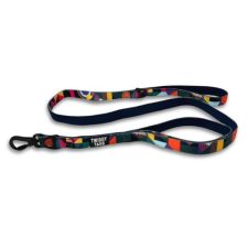Twiggy Tags Adventure Lead with Close Control Handle Aurora