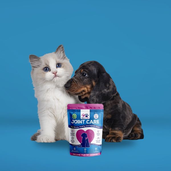 Wellpaws Joint Care Chewable Treats for Dogs & Cats – 180g - Image 4