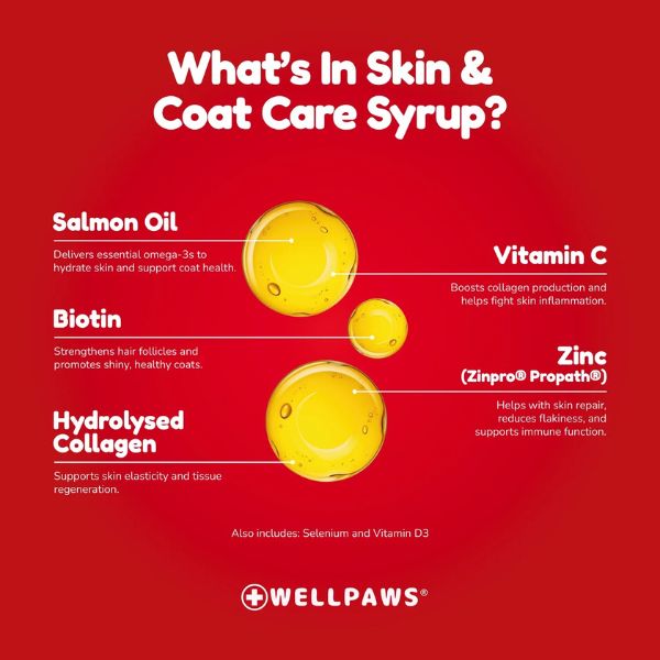 Wellpaws Skin & Coat Care Syrup for Dogs & Cats 300ml - Image 4