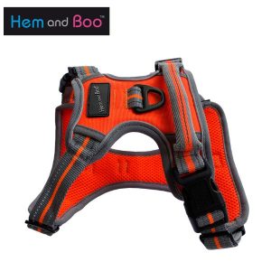 Hem & Boo Sports Harness - Orange